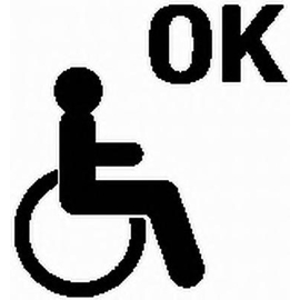 Пиктограмма Hella "Disabled OK", зеленая, фото 