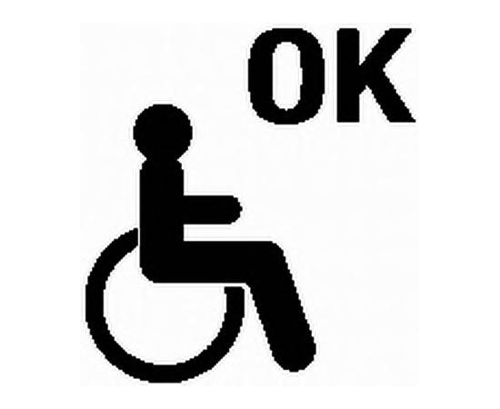 Пиктограмма Hella "Disabled OK", зеленая, фото 